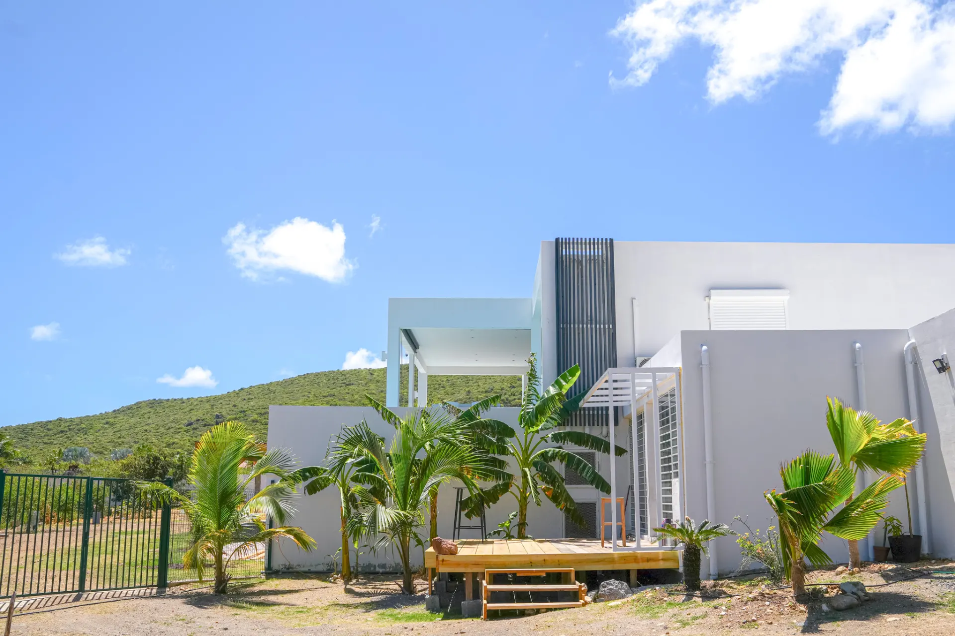 Modern architecture with banana garden
